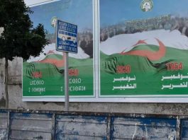 استفتاء الجزائر