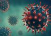 Covid-19 : un million de doses du vaccin Astrazeneca bientôt en Tunisie