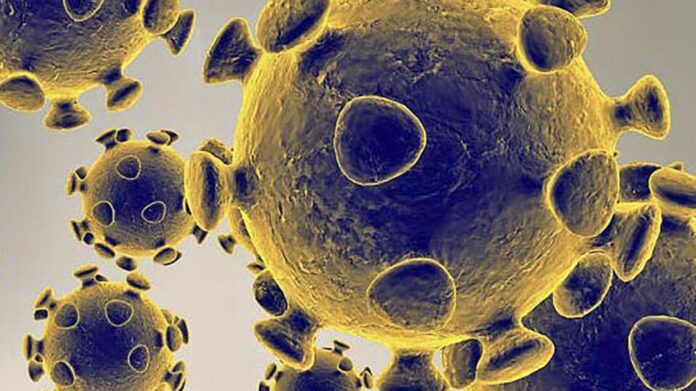 Le coronavirus pourrait faire 10 mille morts