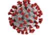 1133 nouveaux cas et 28 décès par le coronavirus