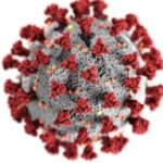 1133 nouveaux cas et 28 décès par le coronavirus