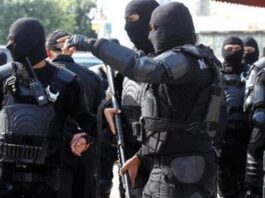 السلطات التونسية تلقي القبض على خلية إرهابية