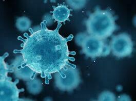 Le ministère de la Santé tunisien a déploré jeudi une scenario sanitaire