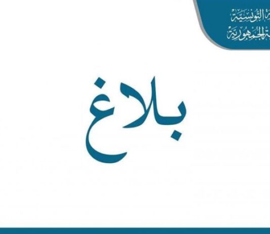 رئيس الجمهورية قيس سعيد يعفي وزيري الدّفاع والعدل