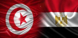 أليسيا ملكانجي: "مصر تدعم تونس ضد الأجندة الإرهابية"