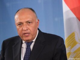 وزير الخارجية المصري