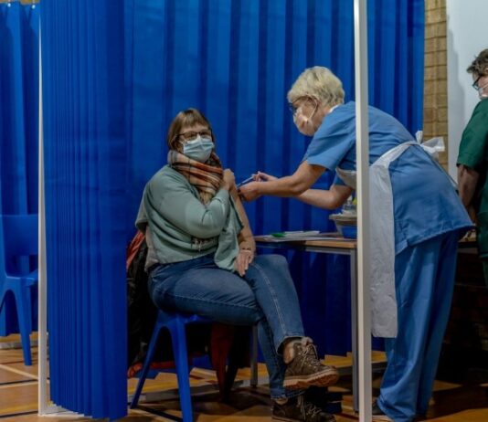 التلقيح في نيويورك