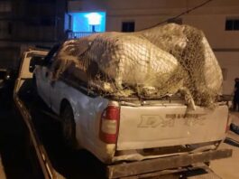 حرس الديوانية
