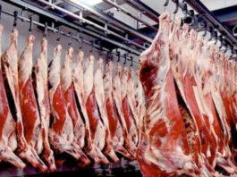 غرفة القصابين تُنبّه