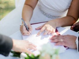 مجلس الوزراء المصري