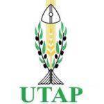 Chaos à l’Utap