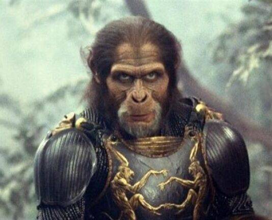 على غرار فيلم كوكب القرود.. الشمبانزي يصل إلى مرحلة مذهلة من الذكاء