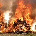 Le feu menace des habitations dans la localité de Bou Saadia Le feu menace