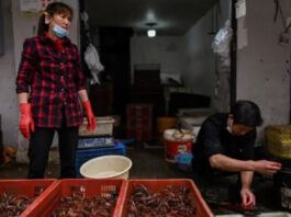 الصحة العالمية