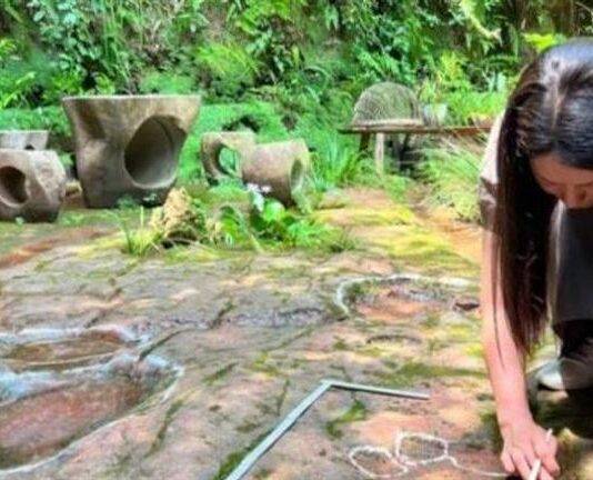 ديناصور في المطعم.. زبون يكتشف أثرا عمره 100 مليون سنة