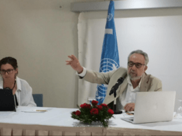 مقرر الأمم المتحدة