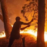Incendies en Algérie