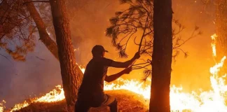 Incendies en Algérie