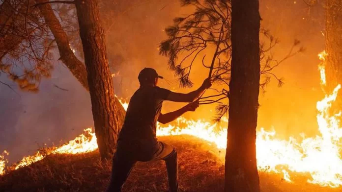 Incendies en Algérie