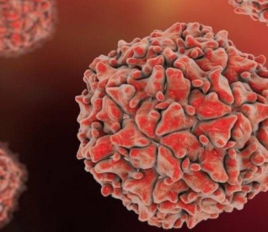 لا يُظهر أعراضا