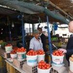 Bizerte