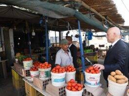 Bizerte