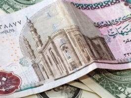 مصر تحرّر