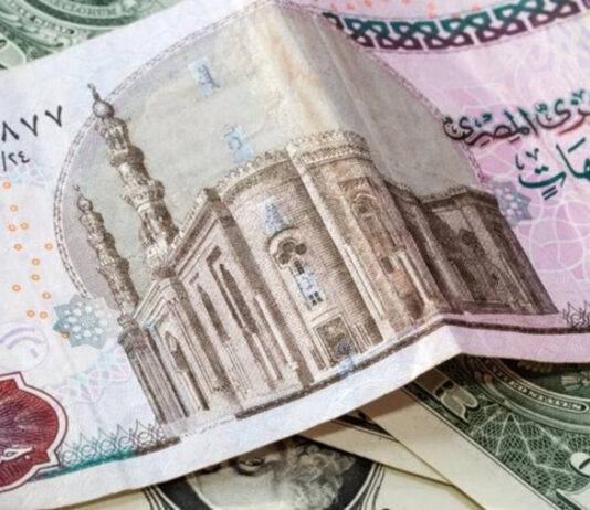 مصر تحرّر