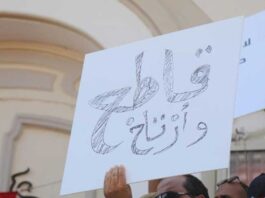 Les partis politiques