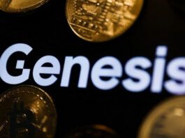 منصة Genesis تعلن إفلاسها