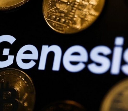 منصة Genesis تعلن إفلاسها