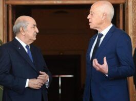 Tebboune se fâche contre Saïed