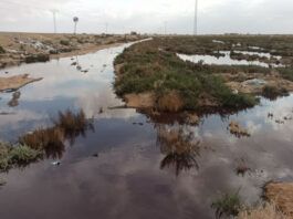منتدى الحقوق الاجتماعية