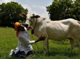 هندوس يقتلون مسلما