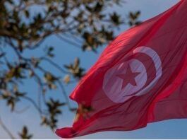 Les compétences tunisiennes