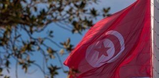 Les compétences tunisiennes